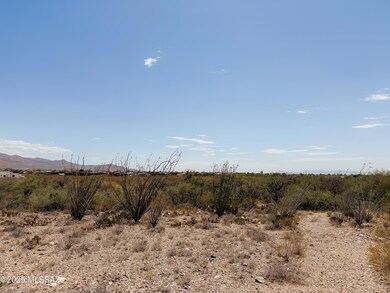 IMG_6720