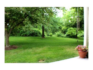 Yard/Garden.