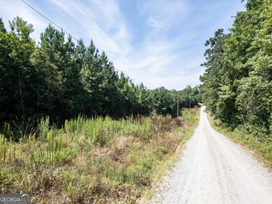 0 7 Island Rd unit 10560556, Monticello, GA 31064 - photo 3