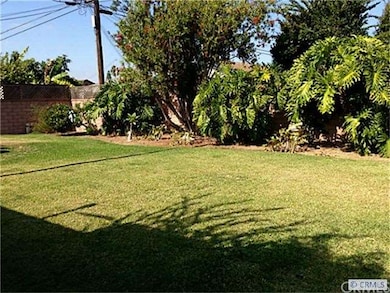 Another view of back yard