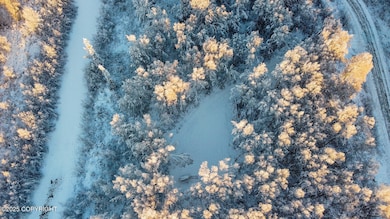 49246 S Hunter Dr, Willow, AK 99688 - photo 5