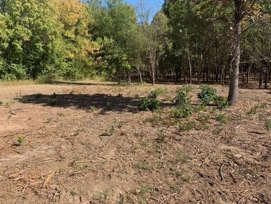 0 Mockingbird Ln, Shawnee, OK 74804 - photo 5