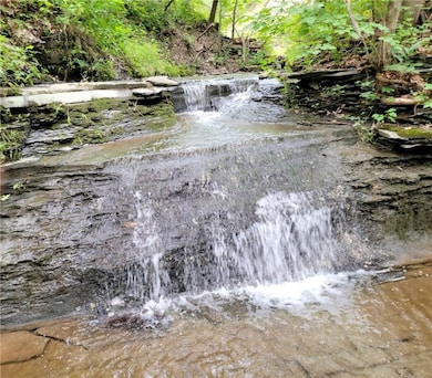 4 Red Cedar Falls Ln, Starkey, NY 14837 - photo 2