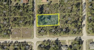 1702 Euclid Ave, Lehigh Acres, FL 33972 - photo 3