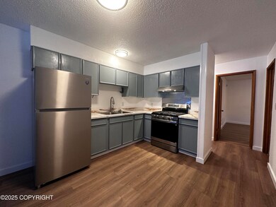 933 W 20th Ave unit B, Anchorage, AK 99503 - photo 6