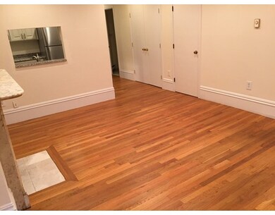 48 Dwight St unit 2, Boston, MA 02118 - photo 5