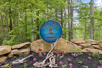 3 Firefly Ln, Campton, KY 41301 - photo 3