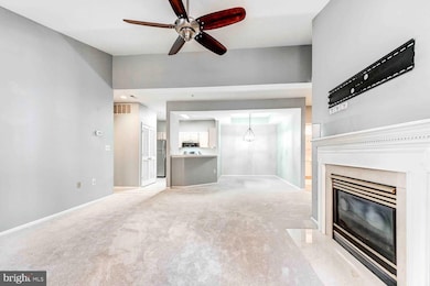 8931 Groffs Mill Dr unit 8931, Owings Mills, MD 21117 - photo 4