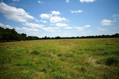 TBD Cr4236, Bonham, TX 75418 - photo 5