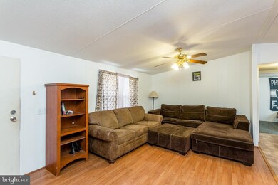 2131 Broad Run Rd, Brandywine, WV 26802 - photo 6