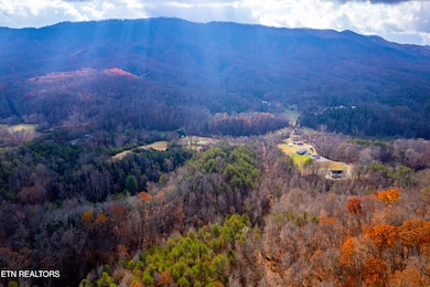 1858 Old Chilhowee Rd, Seymour, TN 37865 - photo 2