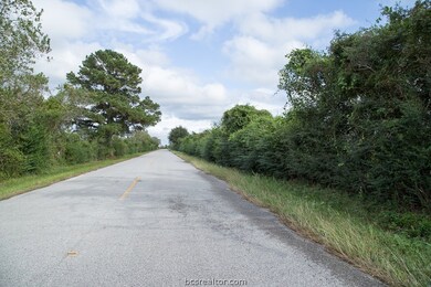 0 Imhof County Rd, Other, TX 77447 - photo 5
