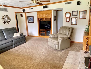 21 Lakeview Dr, Freeburg, IL 62243 - photo 6