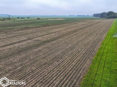 4177 Nuthatch Ave, Kensett, IA 50448 - photo 6