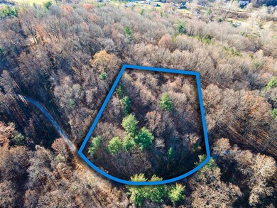 0 Whispering Ln unit 624776, Stanley, VA 22851 - photo 5