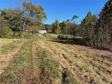 In Driveway Looking Towards Road