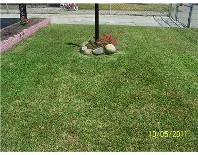 Yard/Garden.