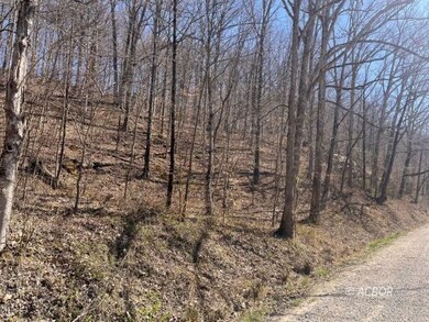 Woods View