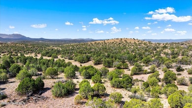 Aerial - 18800 N Butte Pass Rd