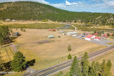 21 N1014, Greer, AZ 85927 - photo 2