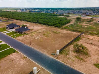 4517 Old Stone Dr unit 2, San Angelo, TX 76904 - photo 3