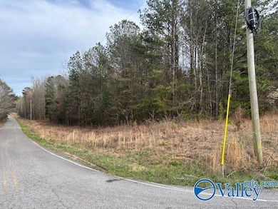 51 Peck Mountain Rd, Eva, AL 35621 - photo 2