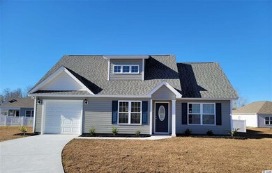 1301 Arbor Ct unit Lot 79, Conway, SC 29527 - photo 5