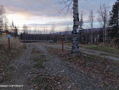 1470057277705151934 copy