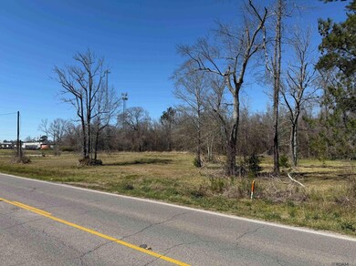 8287, 8353 Rushing Rd, Denham Springs, LA 70726 - photo 4