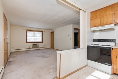 57 Lionel Ave unit E, Waltham, MA 02452 - photo 2
