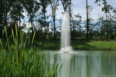 Front Pond 002