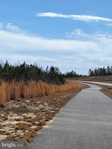 Lot 5 Downton Ave, Livingston, VA 22553 - photo 7