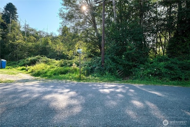 0 3 73 Acres Derby Ave, Point Roberts, WA 98281 - photo 2