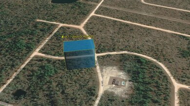 0 Union Dr, Alford, FL 32420 - photo 5