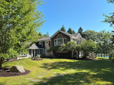 Beautiful Sunny Yard