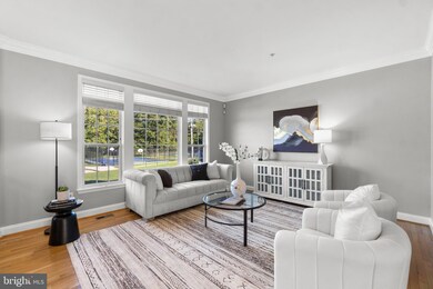 8869 Purple Iris Ln, Elkridge, MD 21075 - photo 5