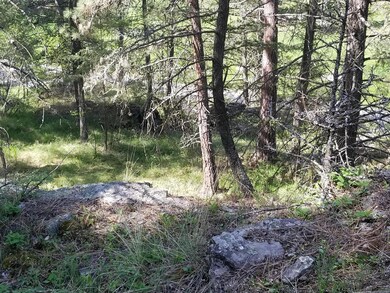 230 Eagle Bend Dr, Big Fork, MT 59911 - photo 6