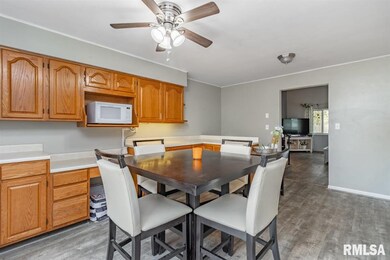 4817 N Koerner Rd, Peoria, IL 61615 - photo 7