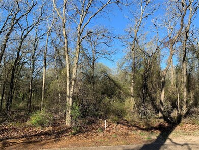 24026 Wood Hollow Dr, Whitney, TX 76692 - photo 5