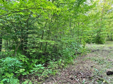 TBD N Blackduk Lake Rd, Blackduck, MN 56647 - photo 7