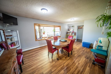 27289 590th St, Mantorville, MN 55955 - photo 5