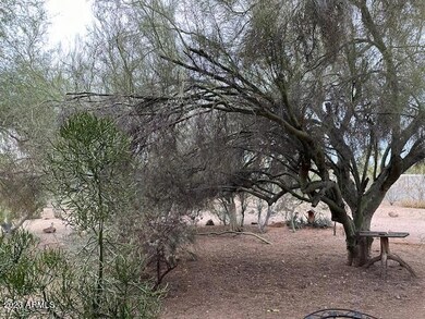 Front yard