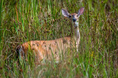 JS_180730_2470