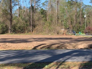 Lot 42 Klickitat Dr unit 3, Crawfordville, FL 32327 - photo 2