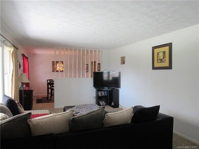 113 Richards Dr, Hendersonville, NC 28792 - photo 5