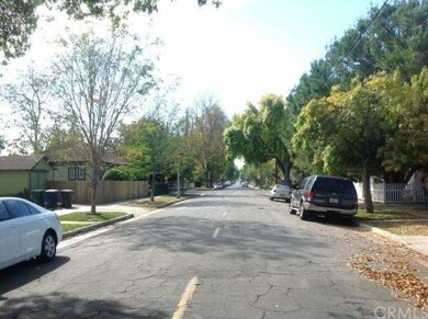 lovely tree lined street