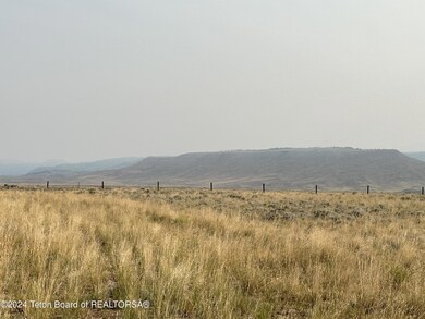 IMG_8724 2
