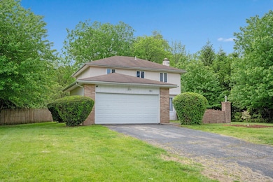 13-web-or-mls-DSC03135