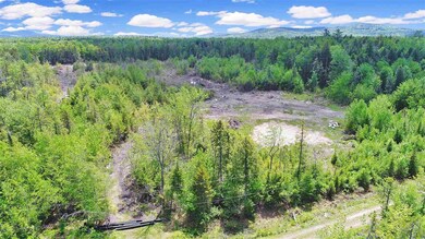 9 Forest View Dr, Effingham, NH 03882 - photo 7