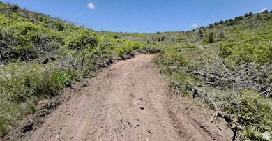 475 E Paradise, Indianola, UT 84629 - photo 7